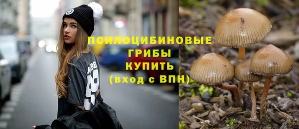 шишки Нея