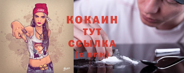 шишки Нея