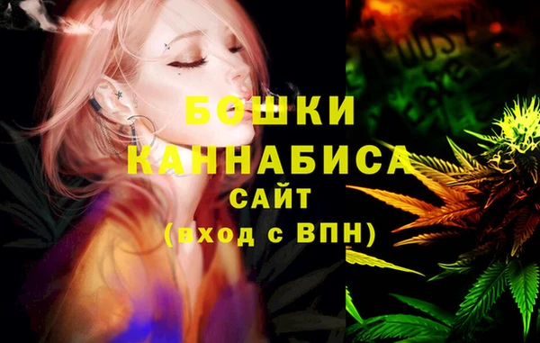 шишки Нея