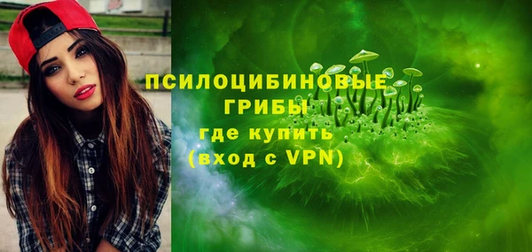 PSILOCYBIN Нефтекумск
