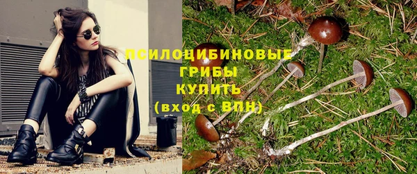PSILOCYBIN Нефтекумск
