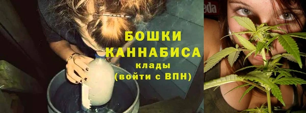 PSILOCYBIN Нефтекумск