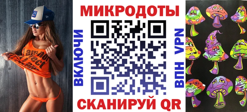 Галлюциногенные грибы Psilocybe Новодвинск